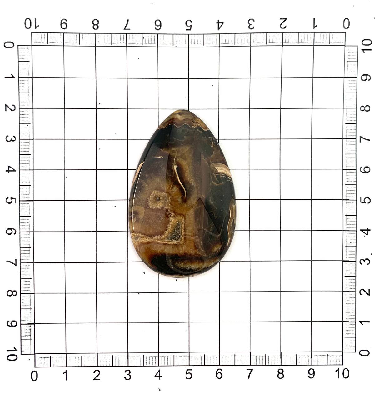  Кабошон аммонитовый Симбирцит коричневый IN15092