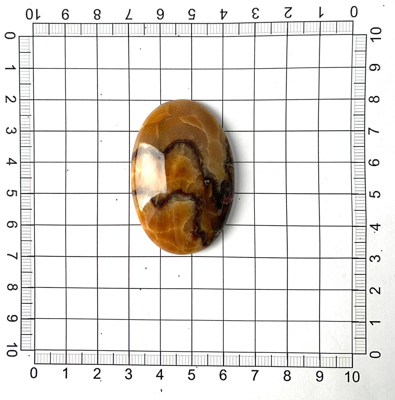 Кабошон аммонитовый Симбирцит желтый IN15078